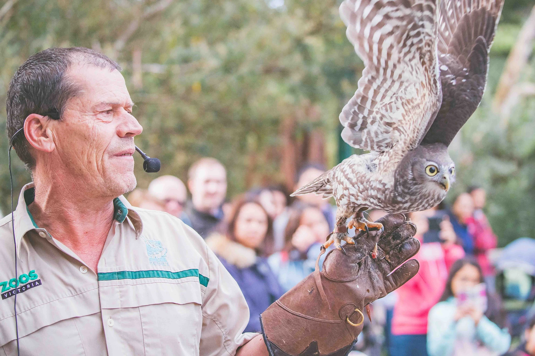 Healesville