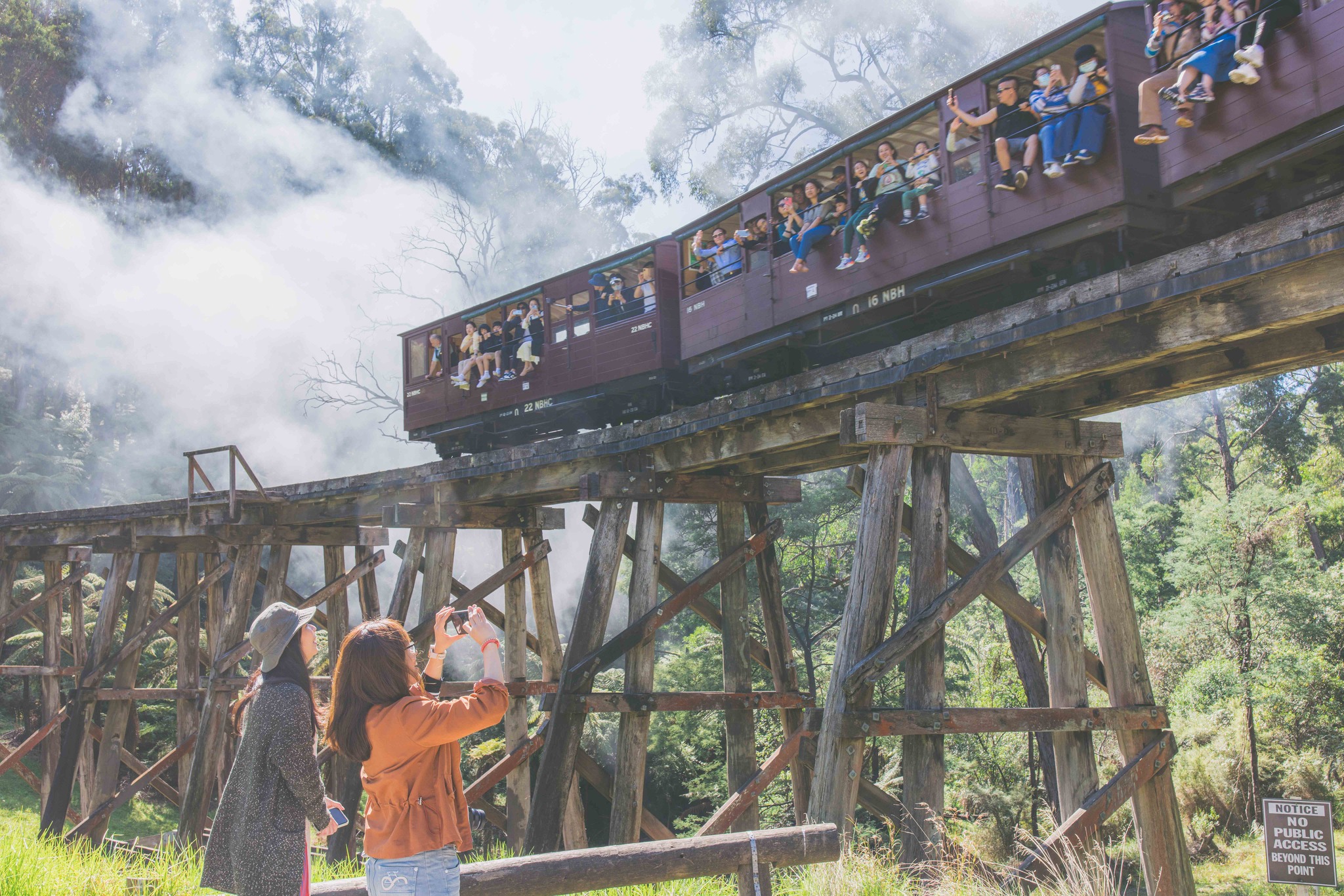 Puffing Billy 3